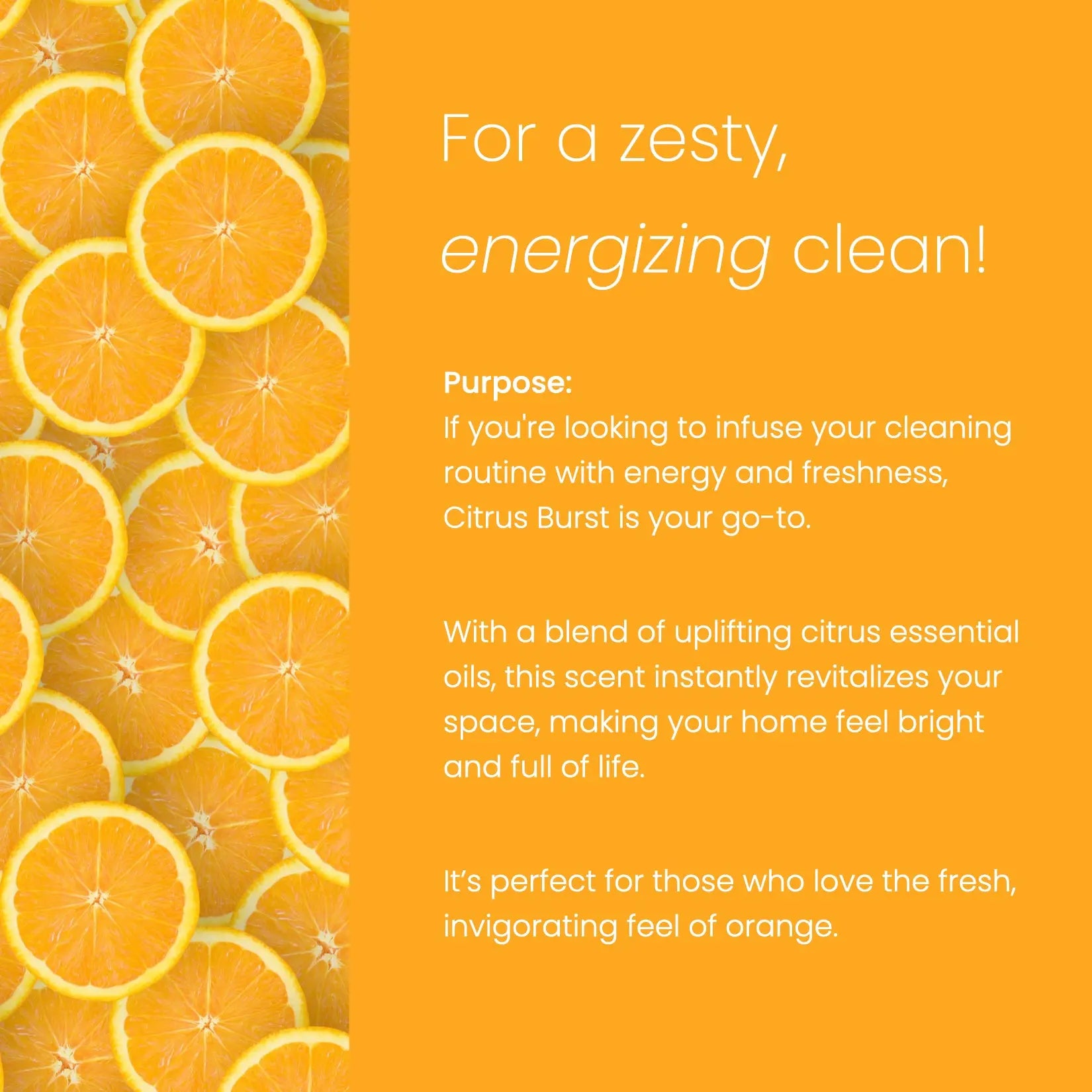 Super Concentrate - Citrus Burst Ecolosophy