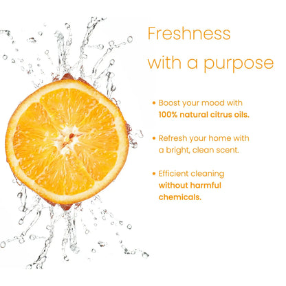 Super Concentrate - Citrus Burst Ecolosophy